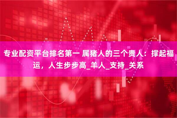 专业配资平台排名第一 属猪人的三个贵人：撑起福运，人生步步高_羊人_支持_关系